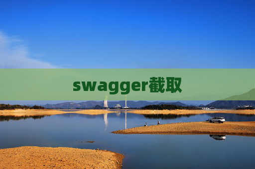 swagger截取